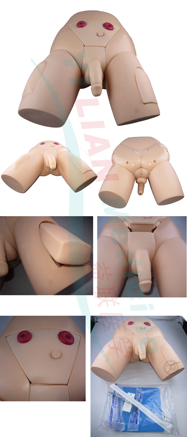 �߼����w���Ԍ�(d��o)��ģ��