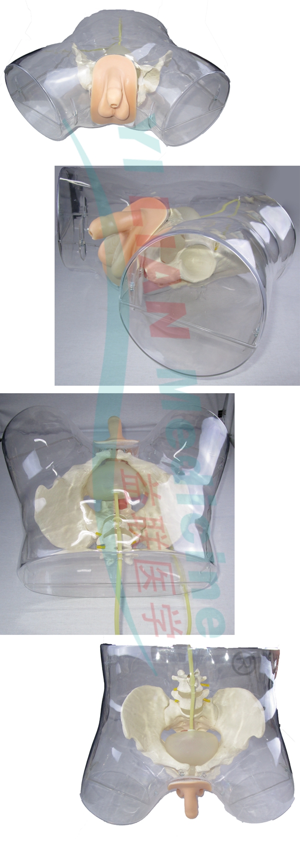 �߼�(j��)͸�����Ԍ�(d��o)��ģ��