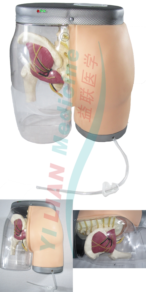 �߼�(j��)�β�����ע�估����ģ��